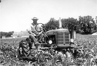 Conrad plowing the weeds from between the corn rows.